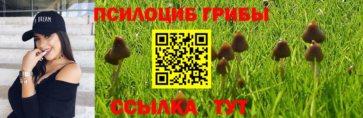 Мариинск  Псилоцибиновые грибы Psilocybine cubensis  Псилоцибиновые грибы Psilocybe  Вход с VPN 